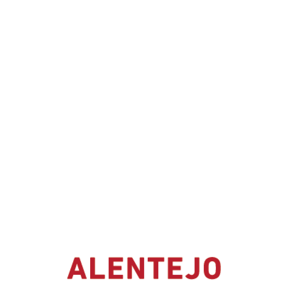 Aceleradora de Comércio Digital Alentejo